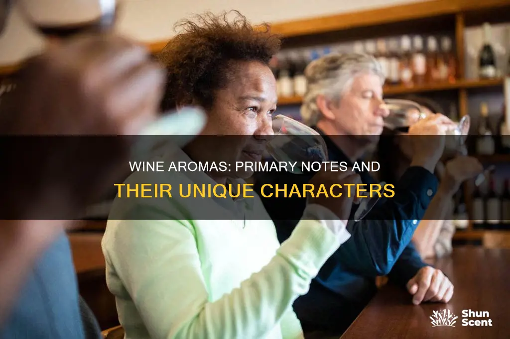 what are primary aromas of wine