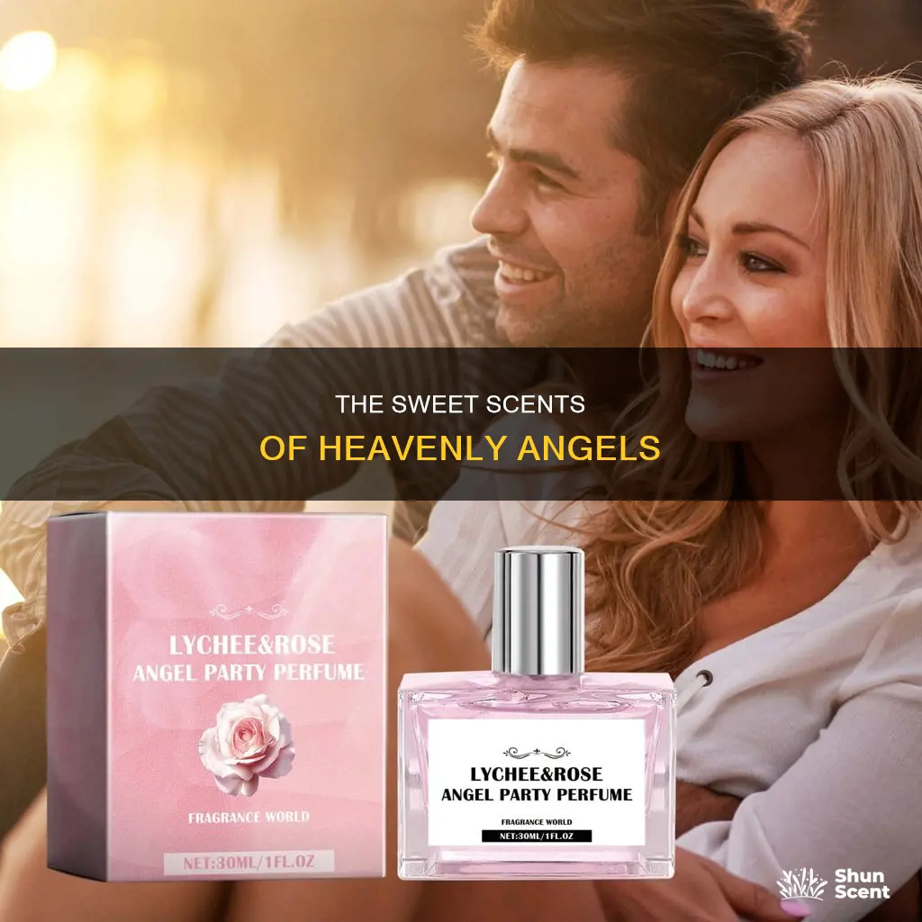 what are rhe fragrance of angels