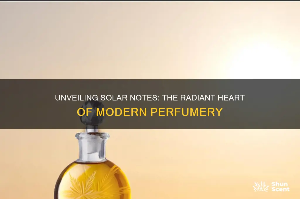 what are solar notes in perfume