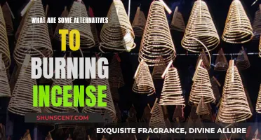 Incense Alternatives: Explore Unique Ways to Fragrance Your Space