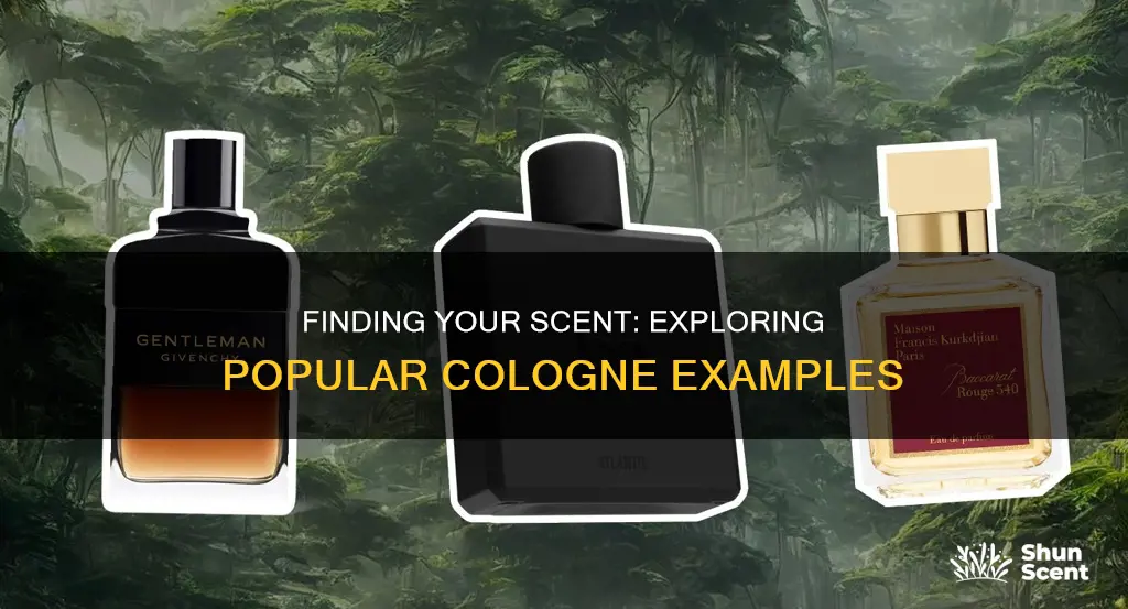 what are some examples of cologne