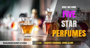 Luxurious Scents: Top Five-Star Perfumes for Every Occasion