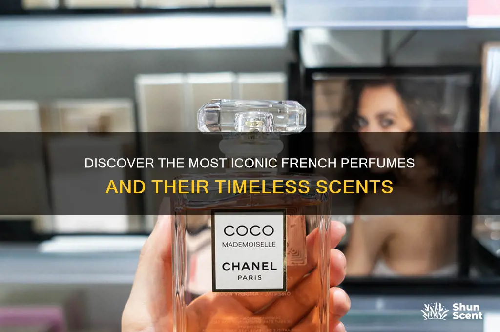 what are some french perfumes