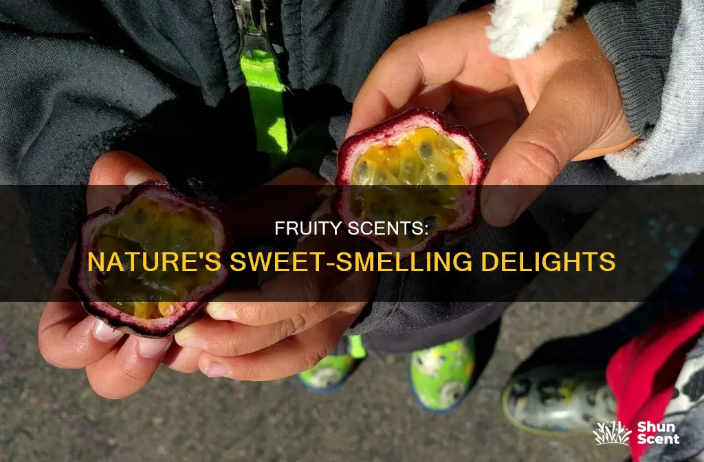 what are some fruits sweet in fragrance