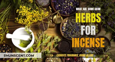 Herbs for Incense: Best Botanical Scents for Your Space