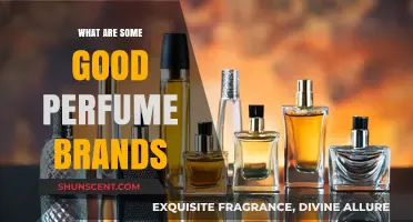 Discover Top Fragrance Brands for Every Style and Occasion