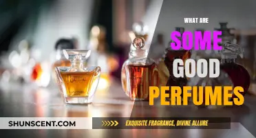 Discover the Best Perfumes: Top Scents for Every Occasion