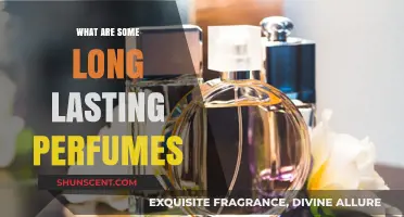 Discover the Best Long-Lasting Perfumes for All-Day Fragrance