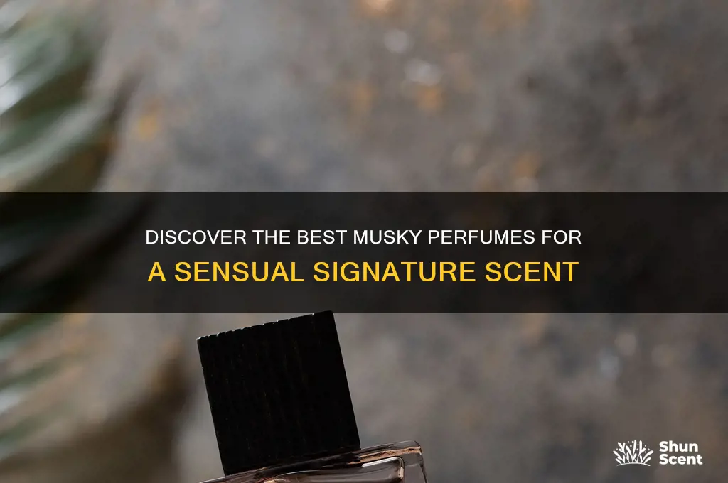 what are some musky perfumes
