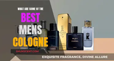 The Best Colognes for Men: A Definitive Guide