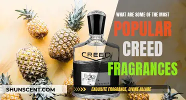 Creed's Top Scents: Exploring the Brand's Most Popular Fragrances