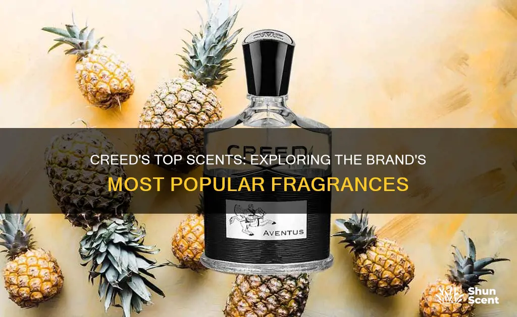 what are some of the most popular creed fragrances