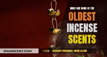 Incense Scents of Ancient Times: Exploring the Oldest Fragrances