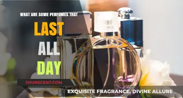 Long-Lasting Perfumes: Top Scents That Stay Fresh All Day