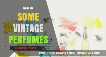 Timeless Scents: Exploring the Most Iconic Vintage Perfumes