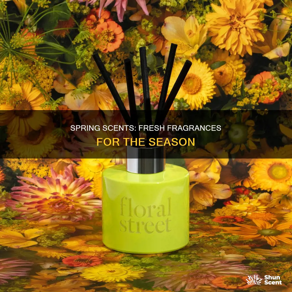 what are spring fragrance