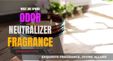 Spring Fresh: Discover the Power of Odor Neutralizers