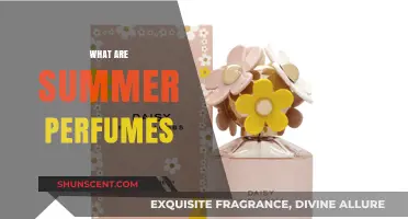 Discover the Best Summer Perfumes: Light, Fresh, and Vibrant Scents