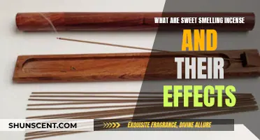 The Sweet Smell of Incense: Aromatic Effects Explored