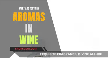 Unveiling the Intricate Tertiary Aromas in Wine