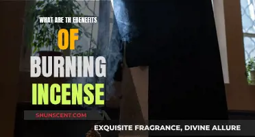 Incense Burning: Ancient Ritual, Modern Relaxation and Health Benefits