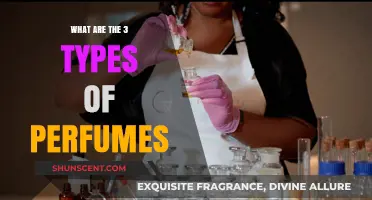 Exploring the Three Main Types of Perfumes and Their Unique Scents