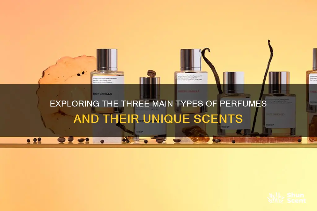 what are the 3 types of perfumes
