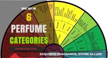 Exploring the Six Classic Perfume Categories and Their Unique Scents