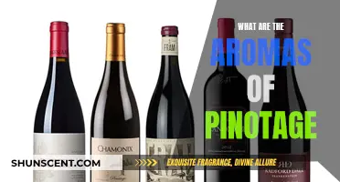 Pinotage Aromas: Exploring the Complex Scents of This Wine