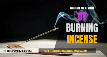 Incense Burning: Ancient Ritual, Modern Relaxation Technique