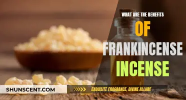 Frankincense Incense: Ancient Aromas for Modern Mind and Body Benefits