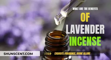 Lavender Incense: Relax, Unwind, and Reap the Benefits