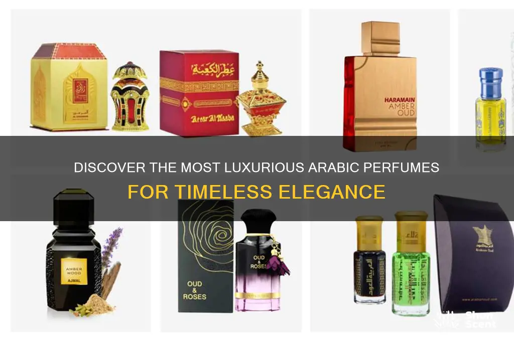 what are the best arabic perfumes