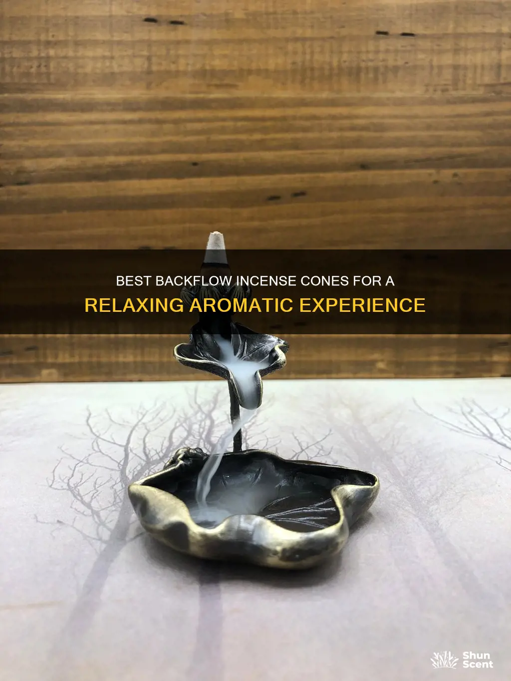 what are the best backflow incense cones