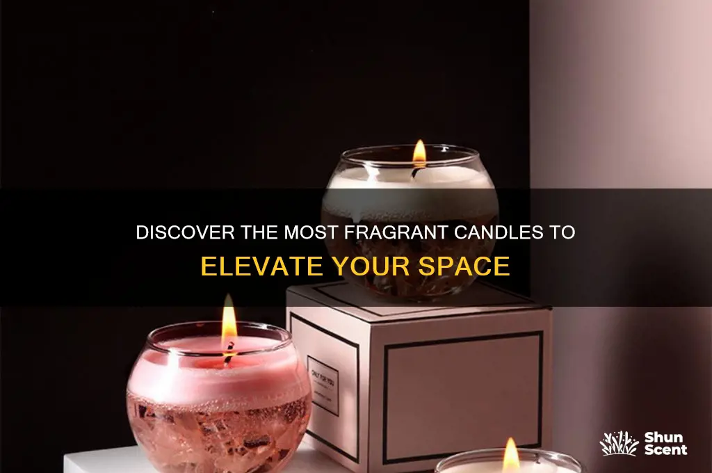 what are the best candles for scent