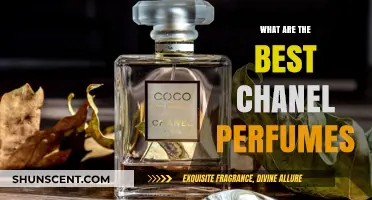 Discover the Most Luxurious Chanel Perfumes for Timeless Elegance