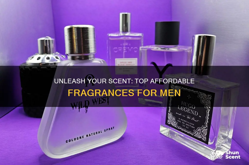 what are the best cheap fragrances for men