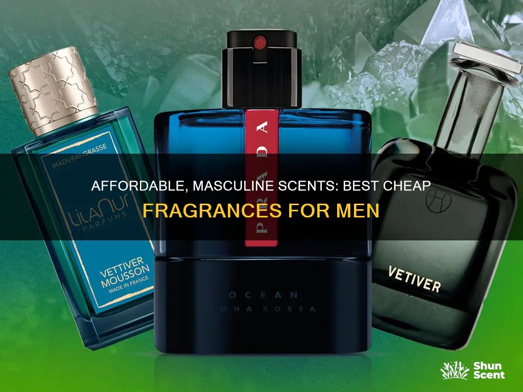 what are the best cheap fragrances for men