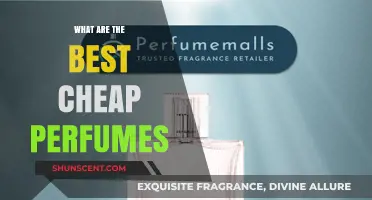 Affordable Fragrance Finds: Top Budget-Friendly Perfumes to Try Now