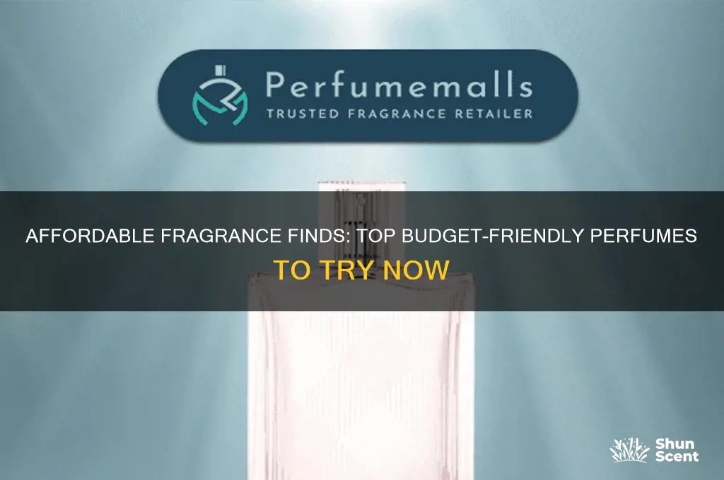 what are the best cheap perfumes