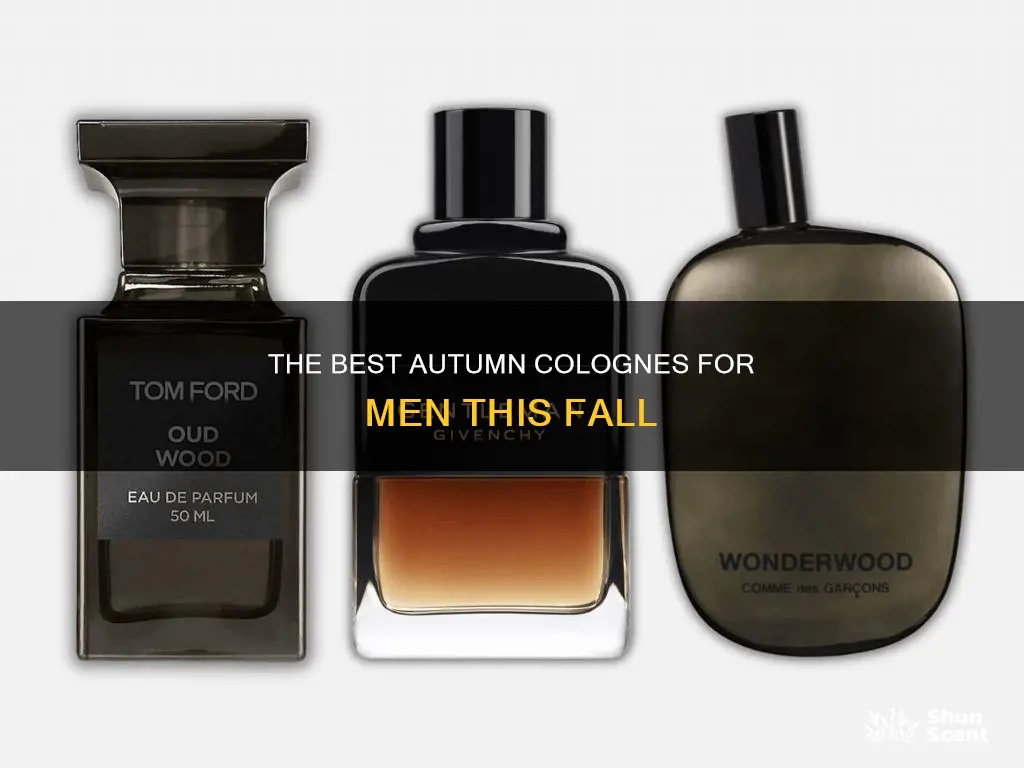 what are the best colognes for men in the fall