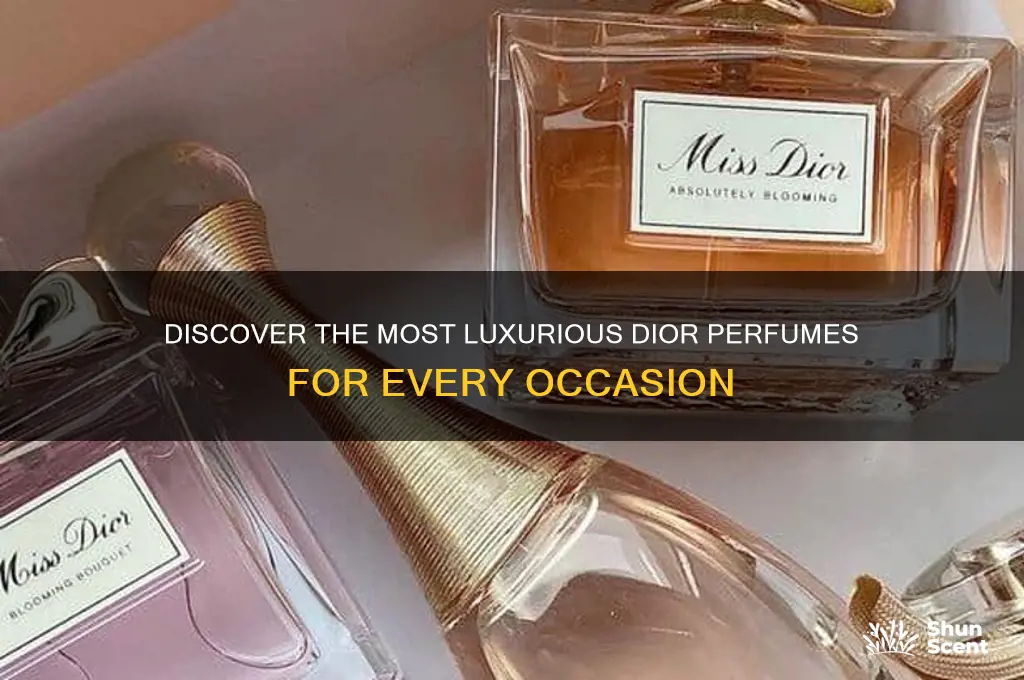 what are the best dior perfumes