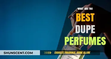 Discover Affordable Luxury: Top Dupe Perfumes That Smell Amazing