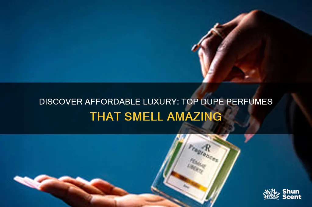 what are the best dupe perfumes