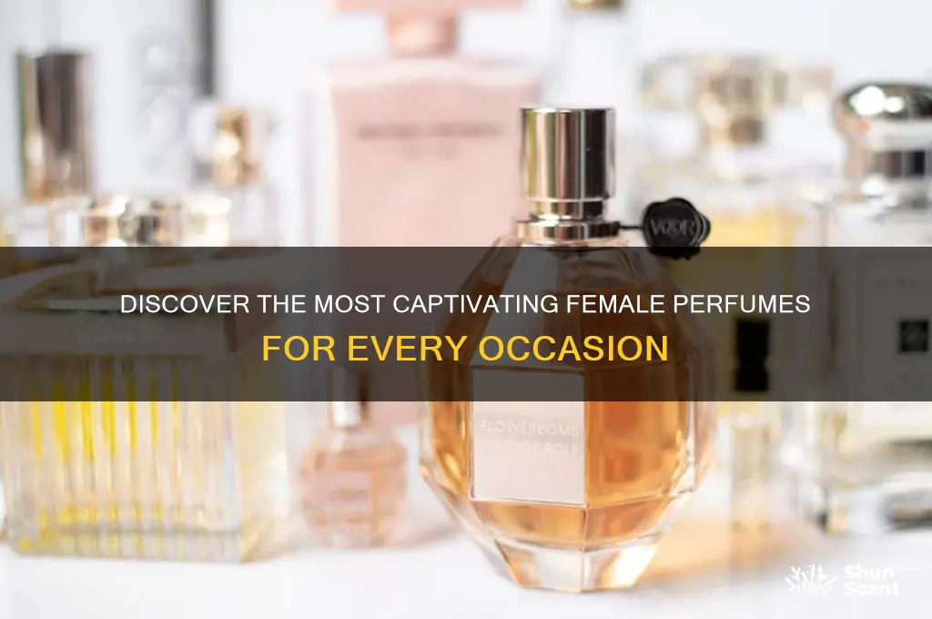 what are the best female perfumes