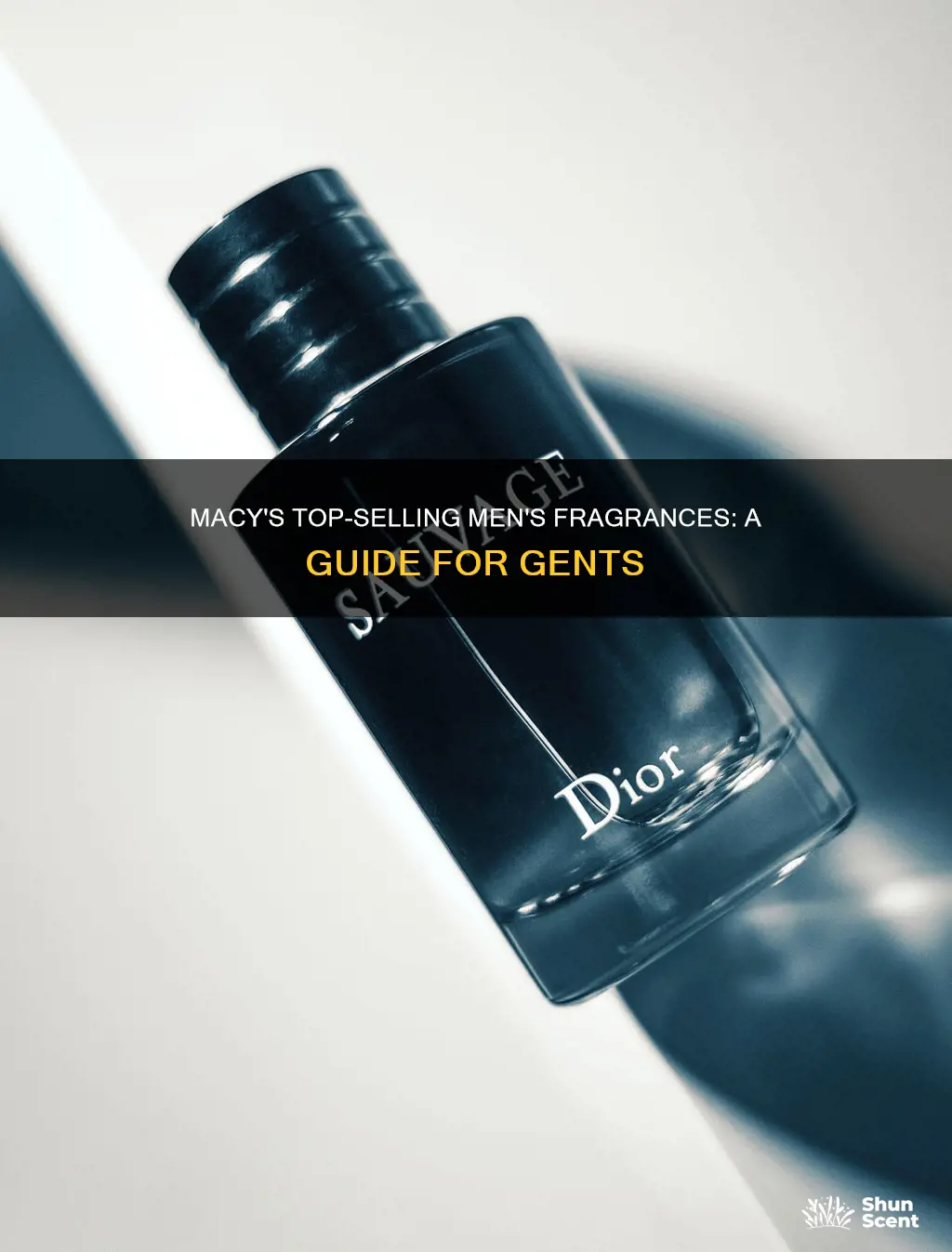what are the best fragrances macys sells for men