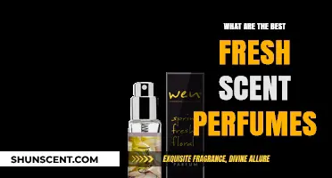 Discover the Most Refreshing Fresh Scent Perfumes to Try Now