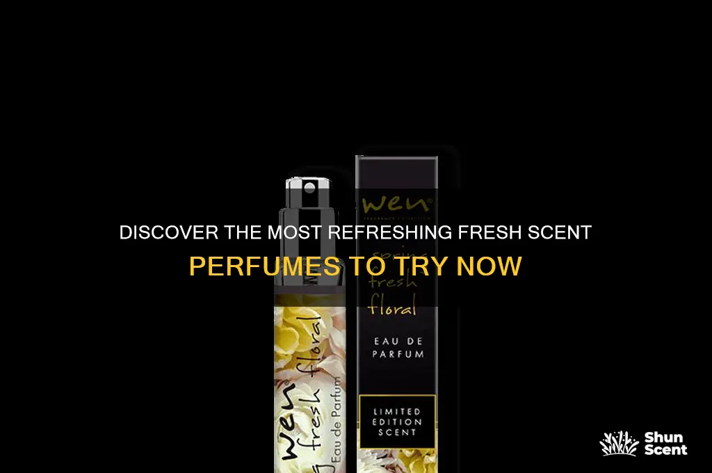 what are the best fresh scent perfumes
