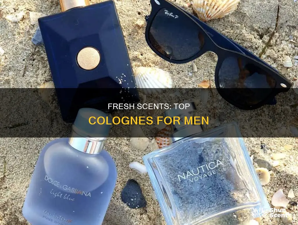 what are the best fresh scented colognes for men