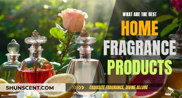 Uncover the Top Home Fragrance Products for a Sensory Paradise